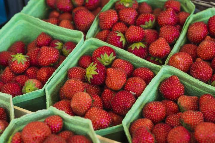 Fresas a Granel Orlando