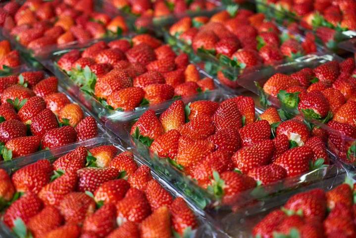Fresh, Bulk Strawberries for Culinary and Beverage Creations